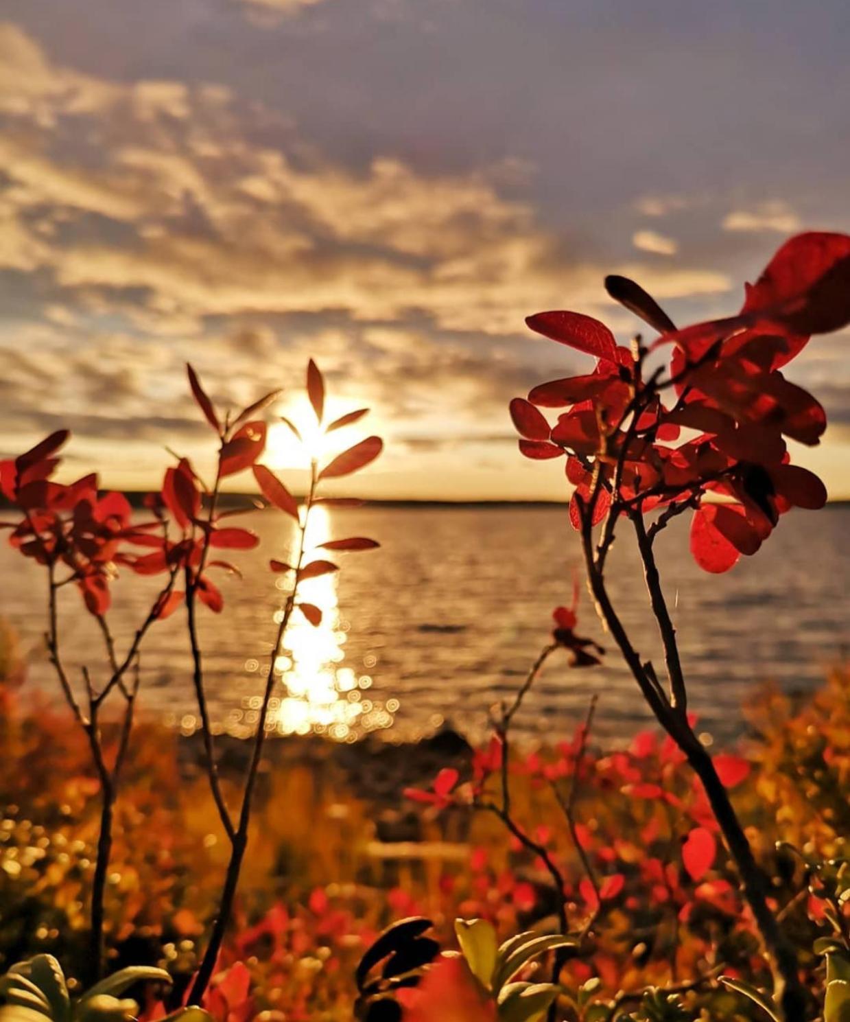 Tieva Lapland Lejlighed Rovaniemi