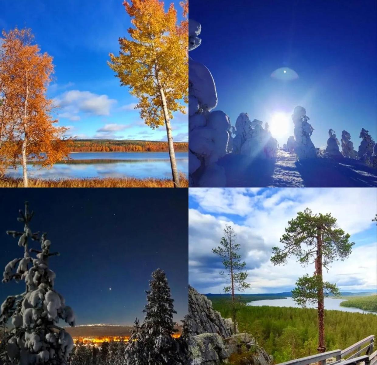 Tieva Lapland Lejlighed Rovaniemi
