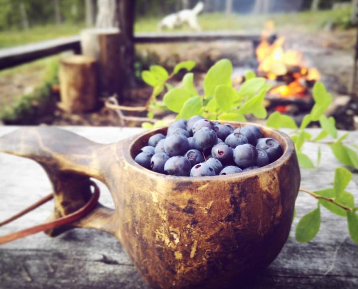 Tieva Lapland Lejlighed